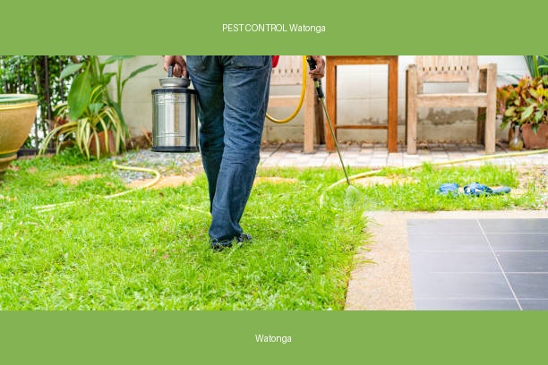 PEST CONTROL Watonga